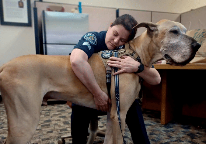 A person in uniform hugging a large Great Dane in an office setting.