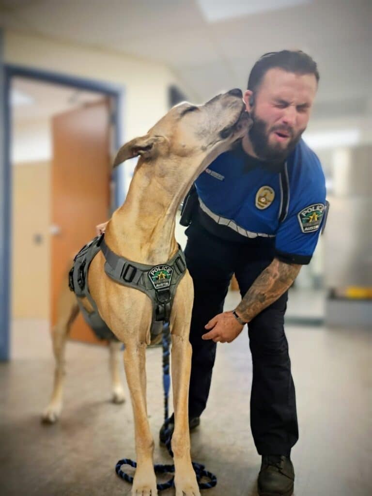 Police officer kissed by K9 partner indoors